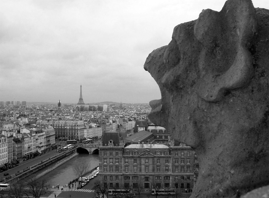 Paris de la Cath�drale de Notre-Dame
