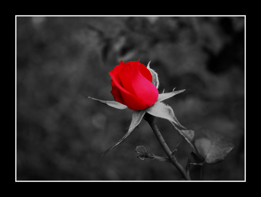 una luce.... nell'oscurit�....