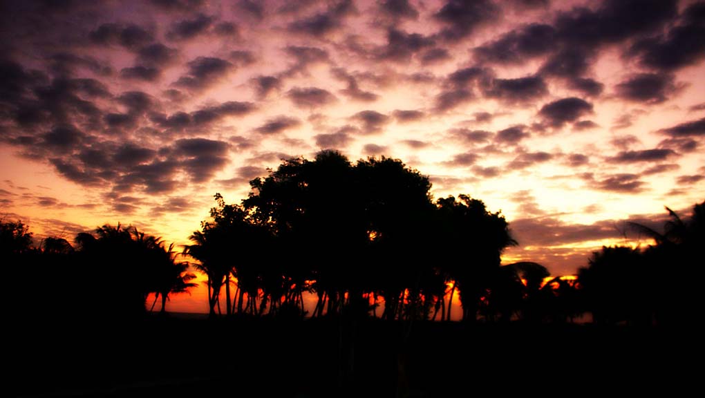 Puesta de sol de M�xico