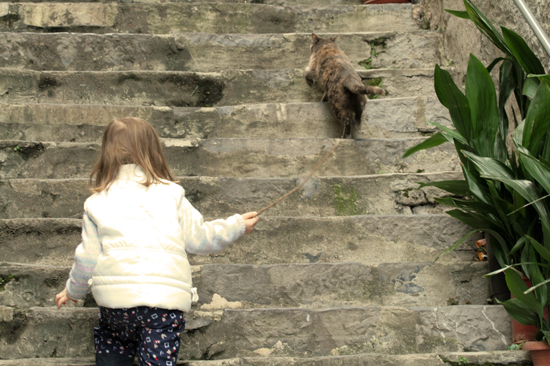 Il gatto con gli stivali...
