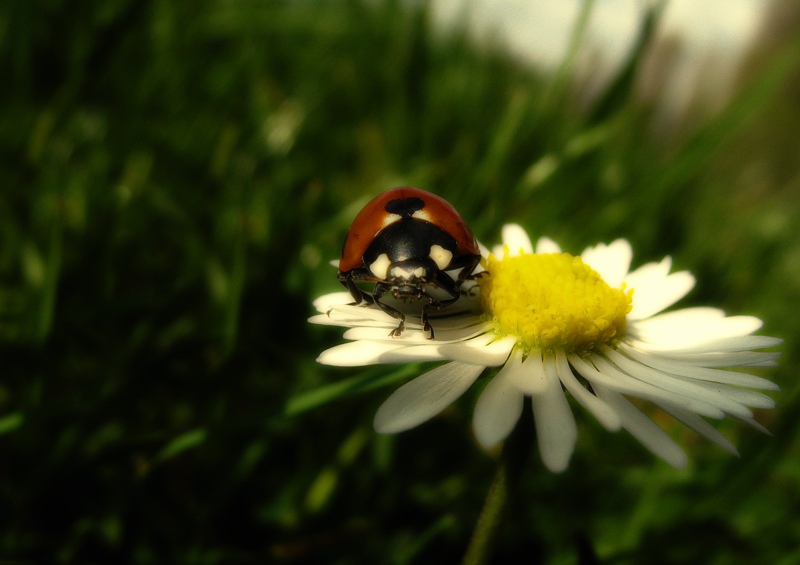 ..riposino all'imbrunire...