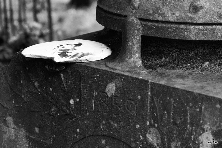 Viggi�, il Cimitero Vecchio