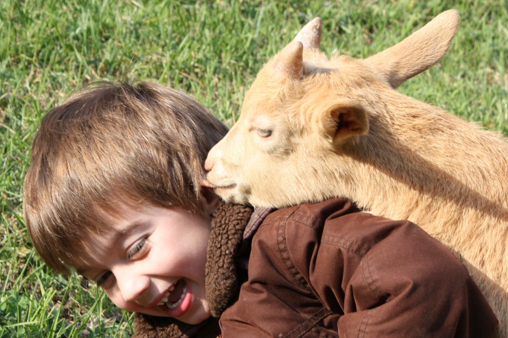 Mollami l'orecchio..........