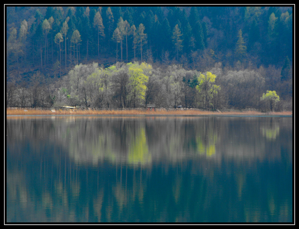 Reflections in the lake