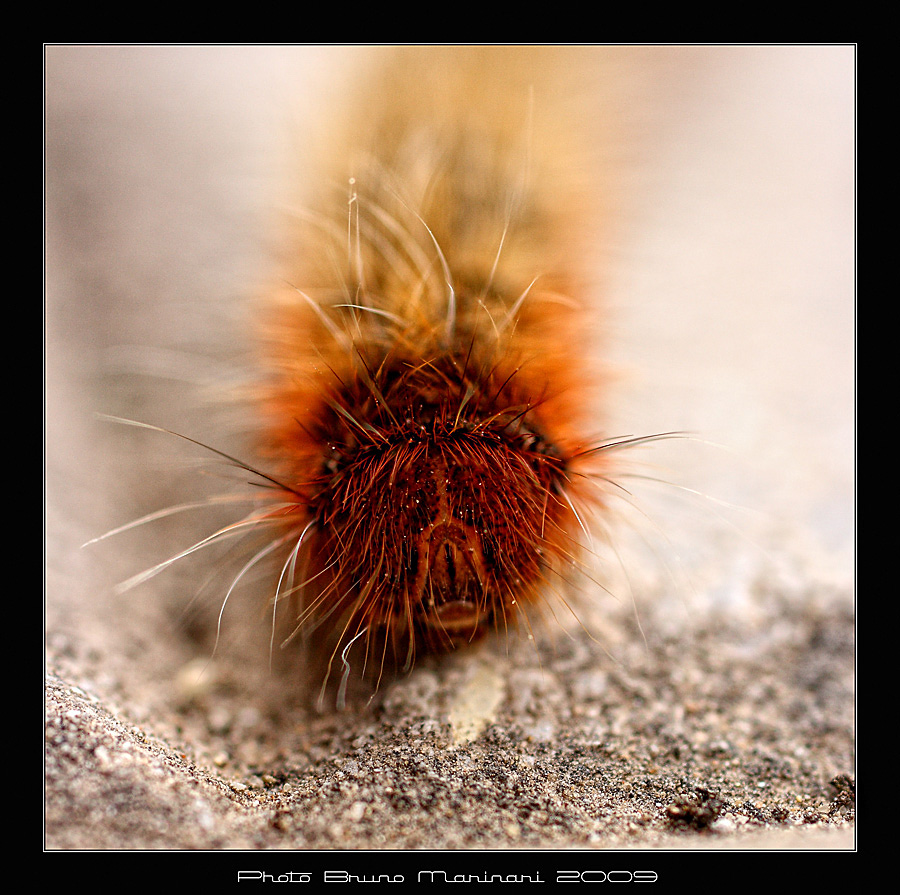 Oggi mi sento punk!!