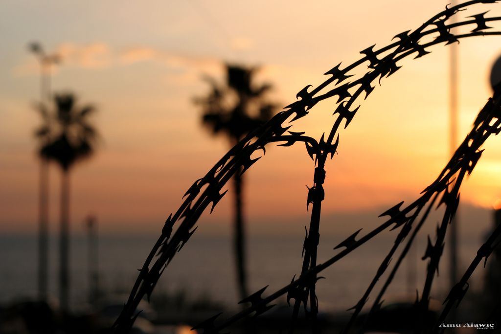 Libert� apparente...