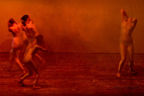 anime senza............