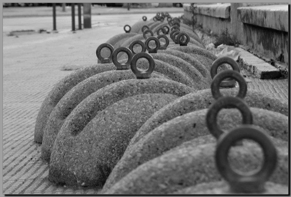 Gli Anelli del signore