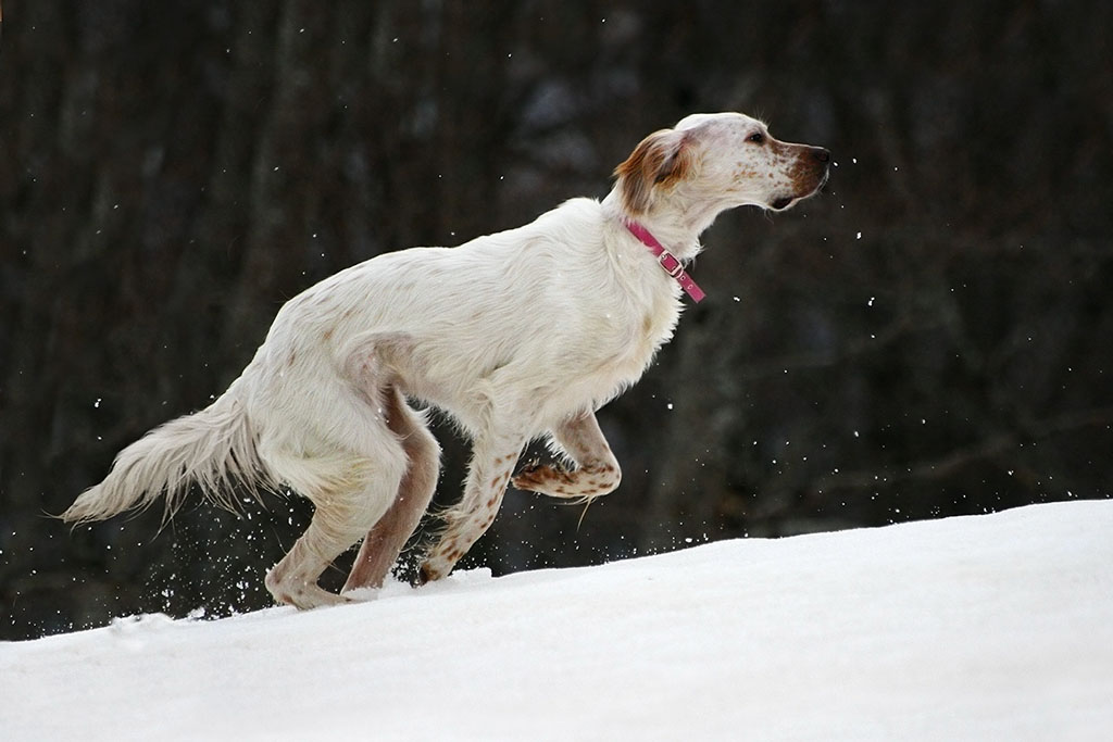 La prima volta di Audrey sulla neve