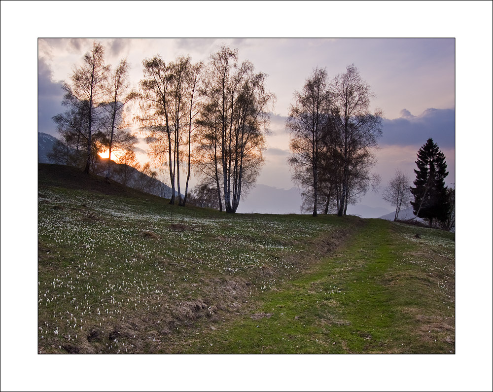 Andando da Nessuna Parte