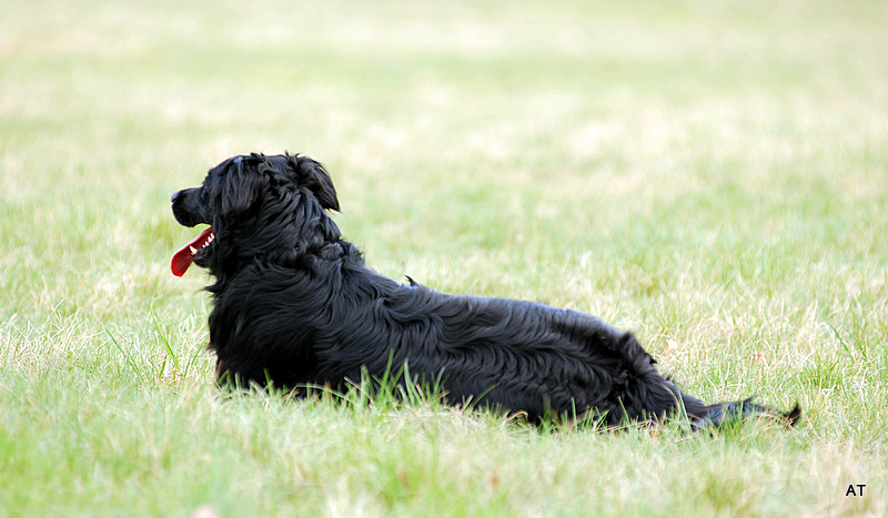 Nel prato con le nuvole