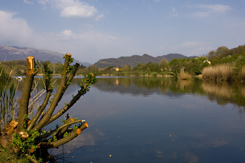 Laghetto di Sartirana