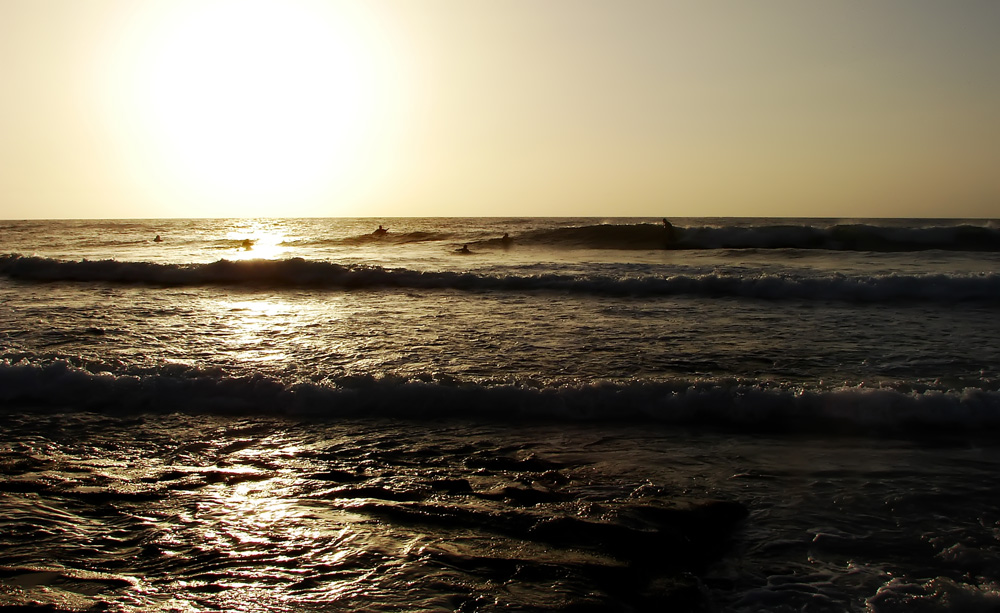 All we need to surf!!