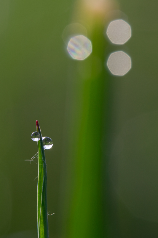 non c'� due senza tre