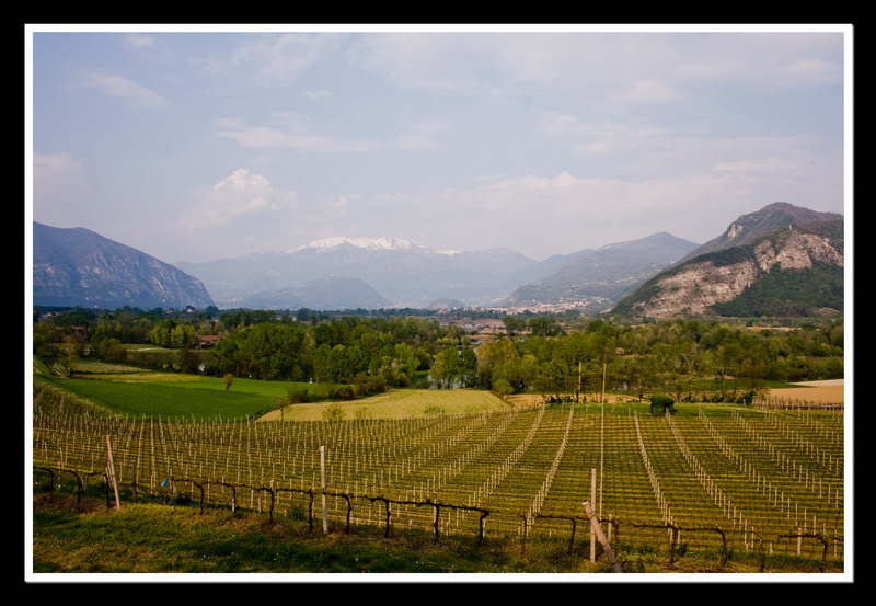 Franciacorta