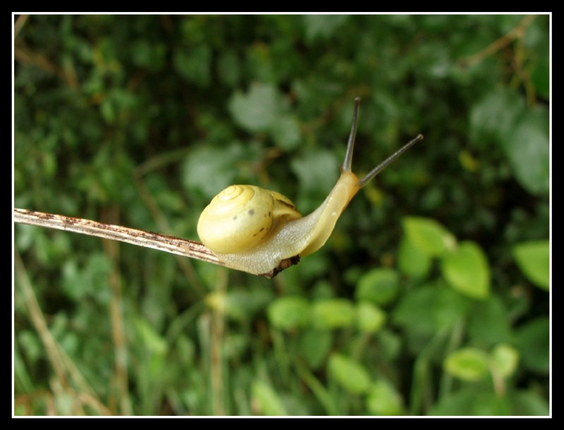 Che hai da guardare?