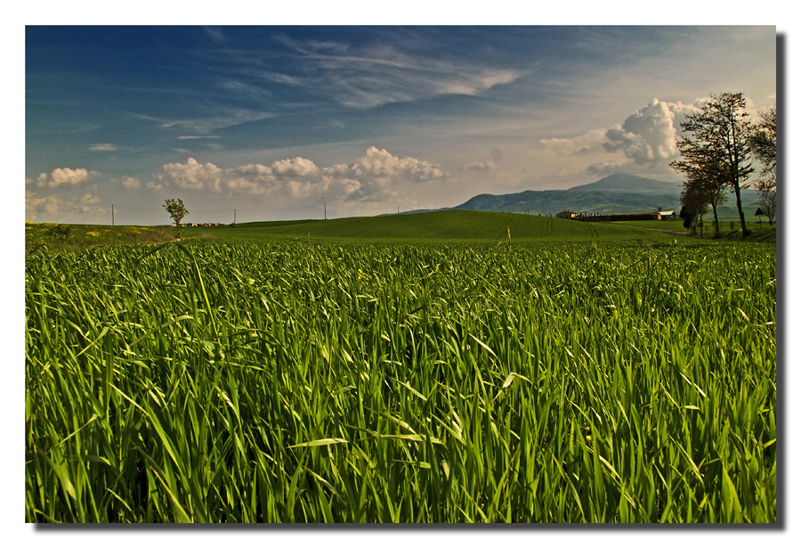 Nei dintorni di Pienza