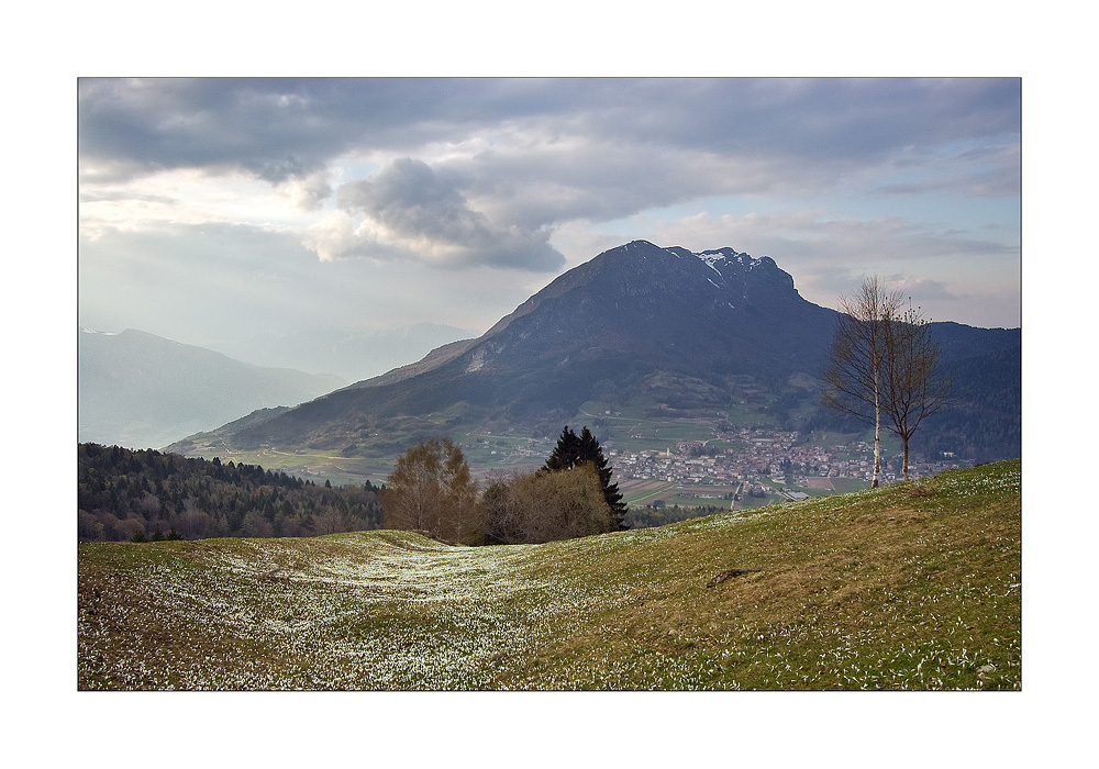 Ogni cosa ha il suo posto