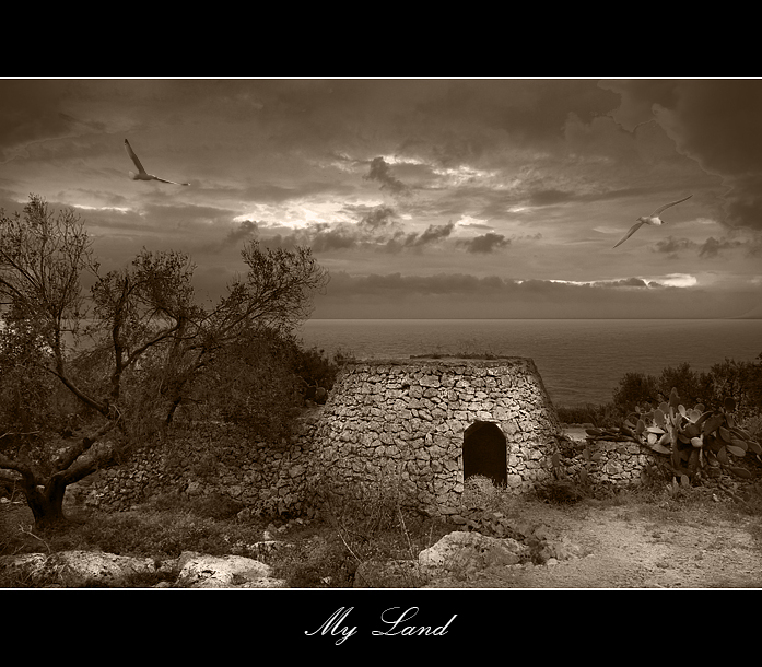 My Land