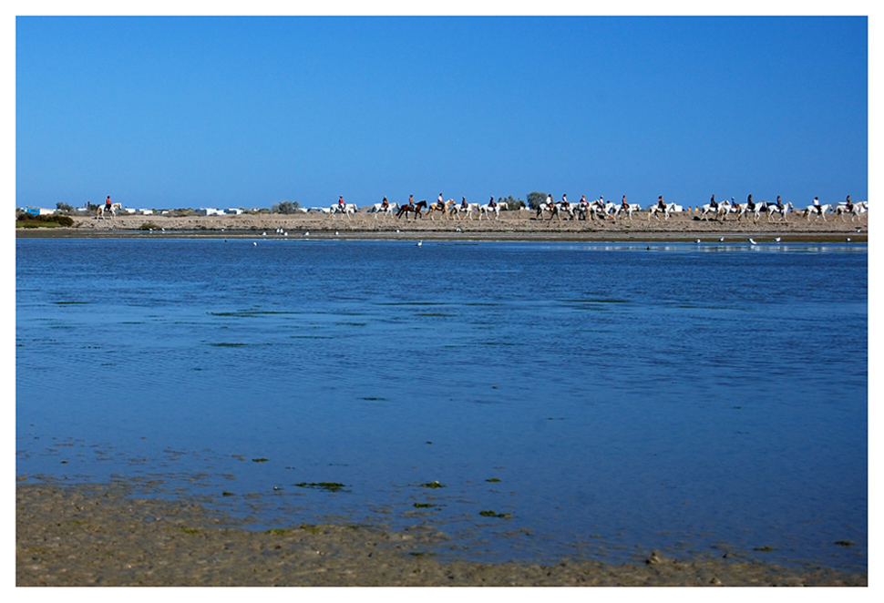 Camargue