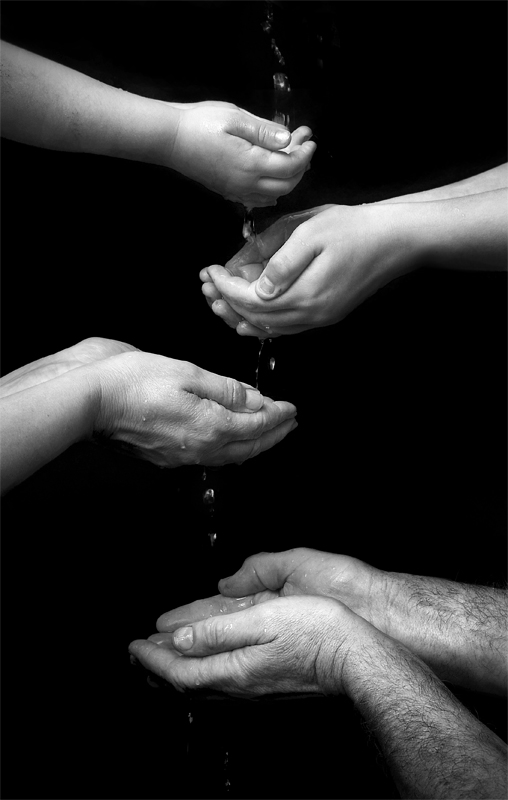 albero della vita ...