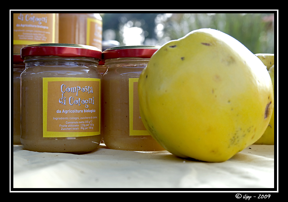 destino di una mela cotogna