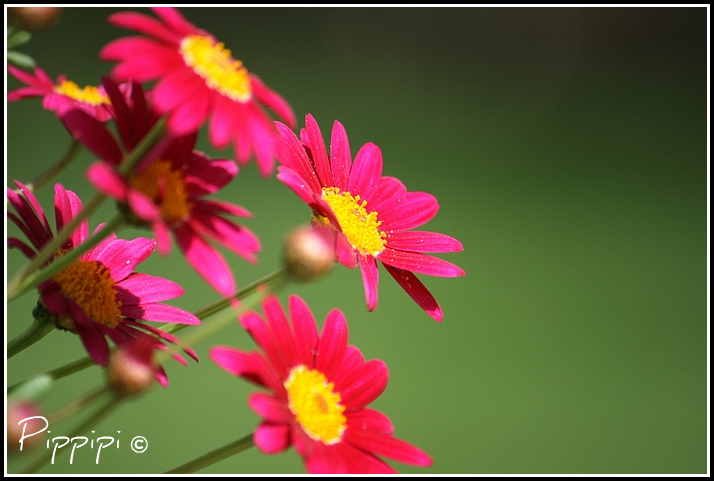 Finalmente il colore...