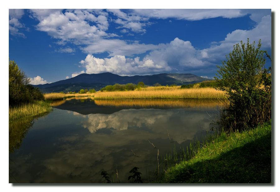 Oasi WWF di Focognano - Campi Bisenzio (FI)