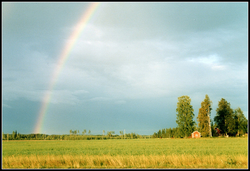 at the last sun