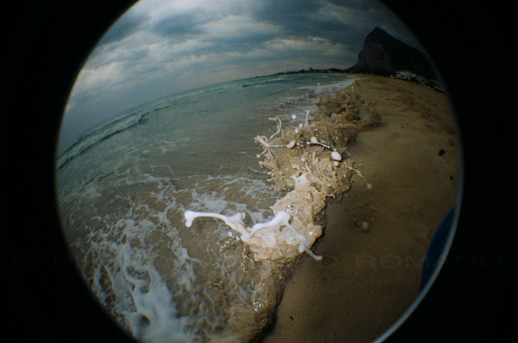 Splash in LOMO Fisheye2