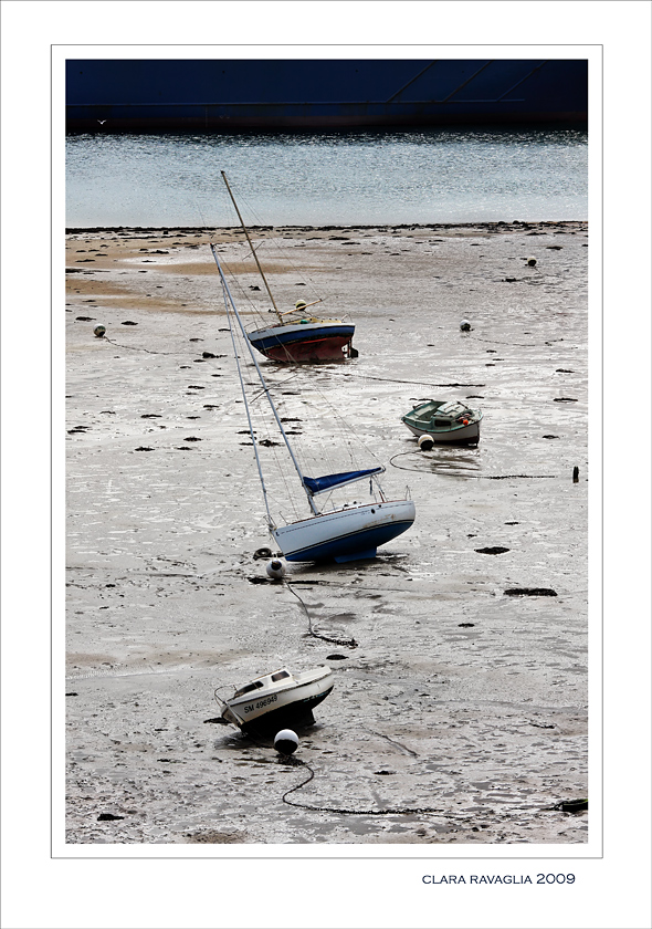 Cadenza marinara....