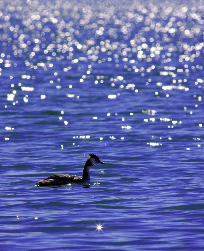 In una bella giornata di sole