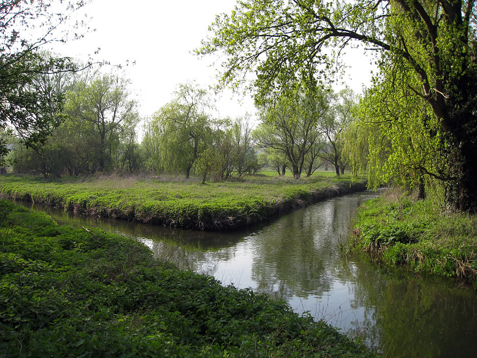 paesaggio inglese (2)