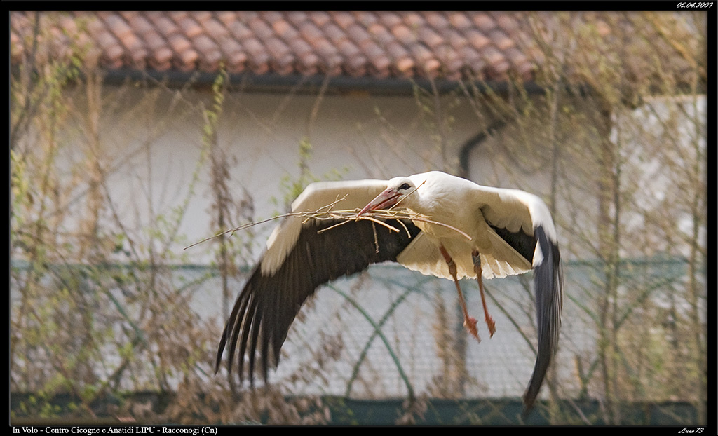 al lavoro .... in volo