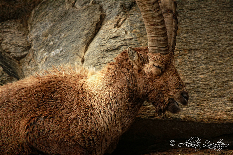 il Riposo del Guerriero