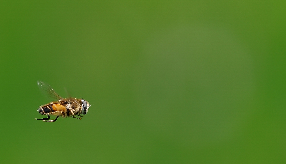 lul� al volo, verso la luce