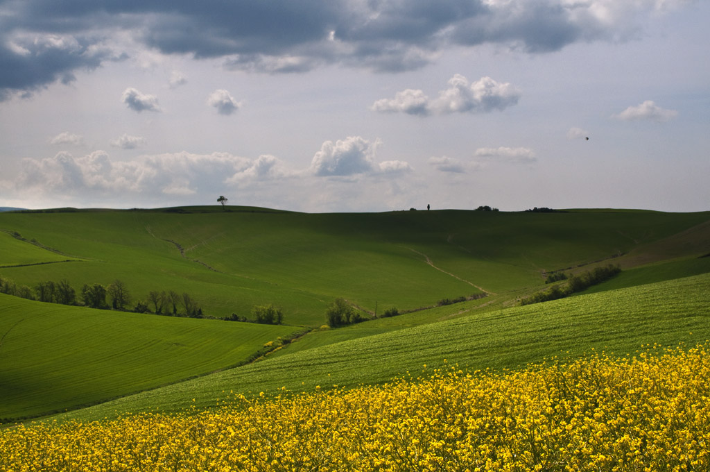 Colline toscane........