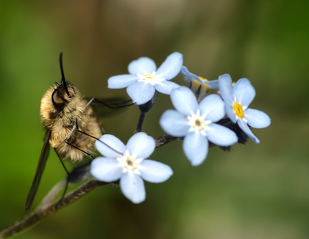 Finalmente Fermo....