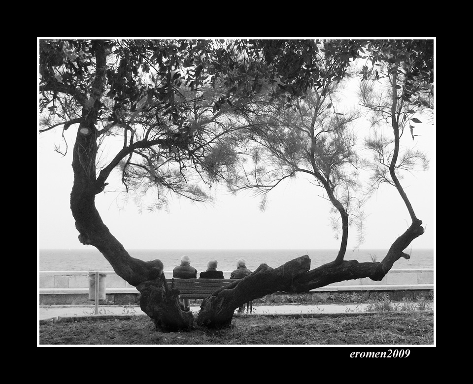 ...CON LA MENTE NAVIGAR...