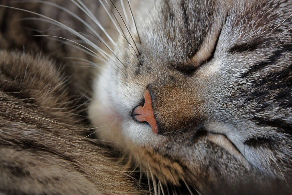 una serata tranquilla ;-)