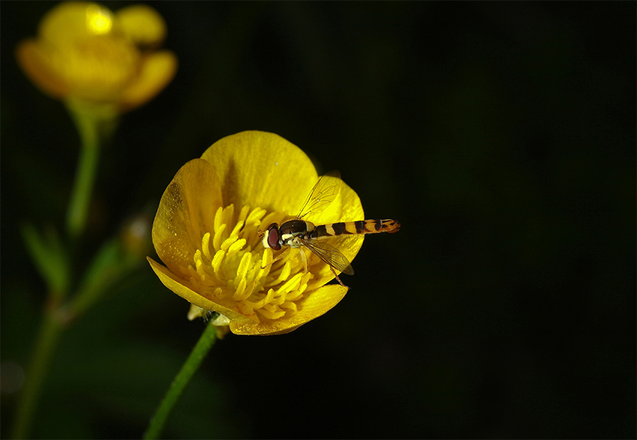 ...Lul� baciata dal sole...!!!
