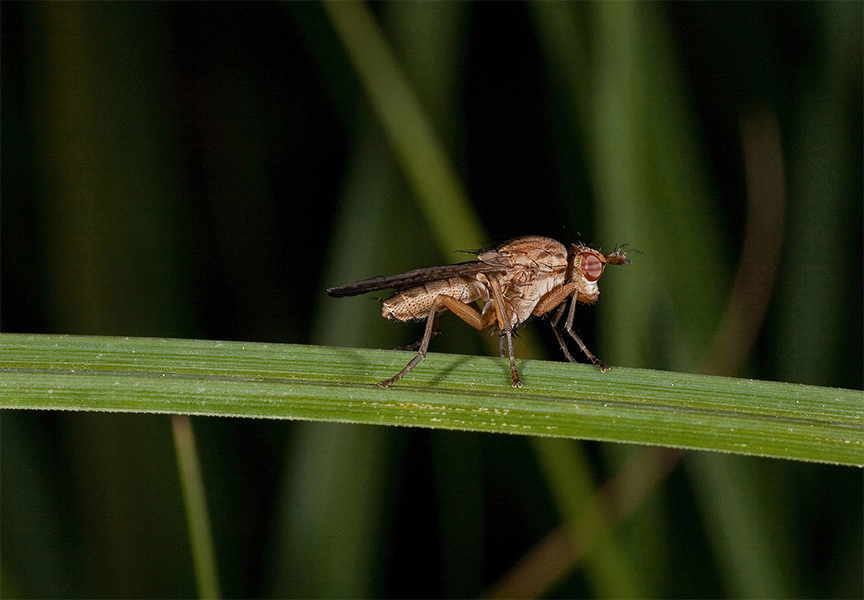 ...semplice profilo...