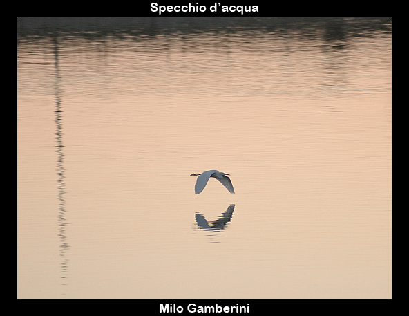 Specchio d'acqua.