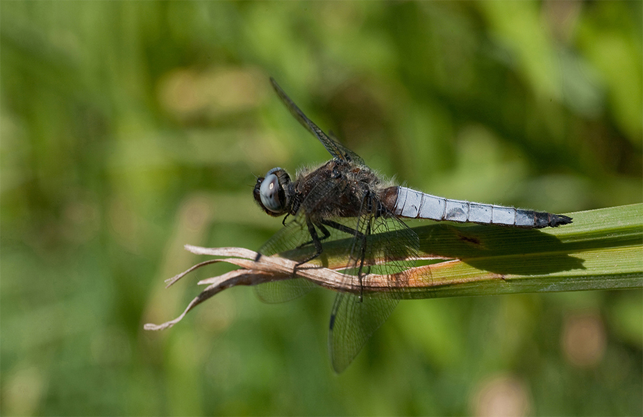 ...pronta per il decollo...