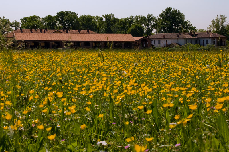 La cascina nel campo