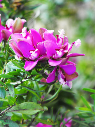 ...nei giardini pubblici