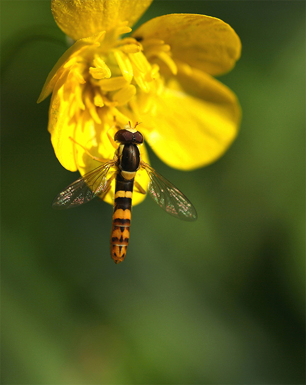 ...sempre Lei...LuL�...!!!