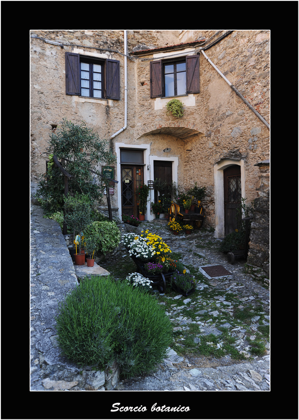 scorcio botanico