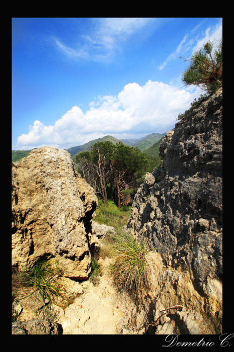 sbirciando fra le rocce
