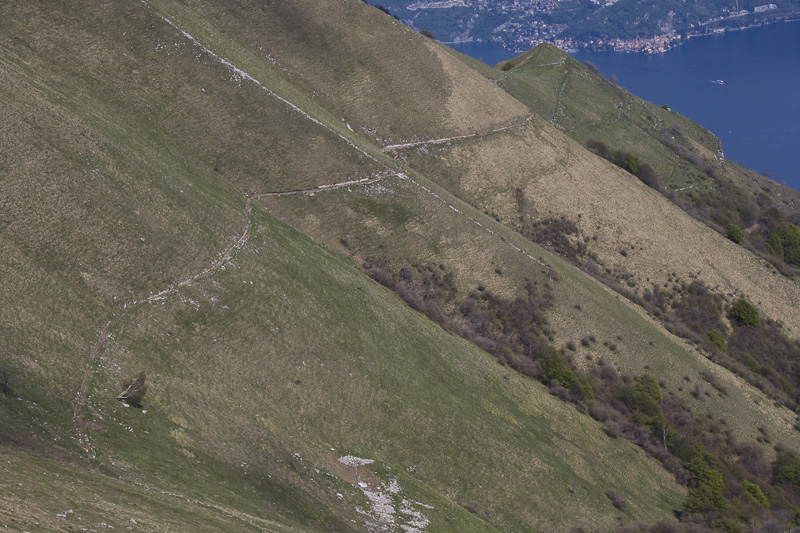 La vertigine del falco